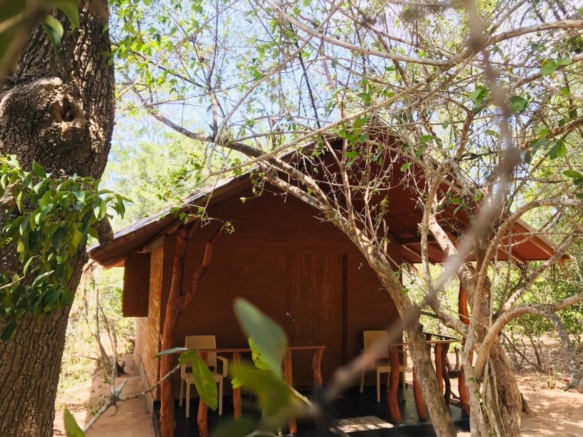 Rivosen Camp Safari Yala